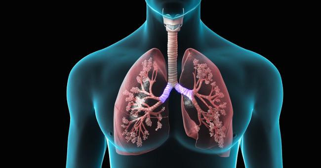 Difference between lungs of healthy people and smokers 20 years