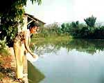 Dig ecological ponds to protect the environment