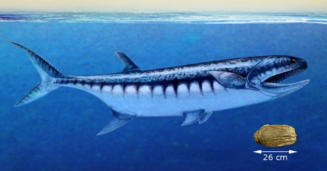 Digging the 250 million year old sea monster in the American desert