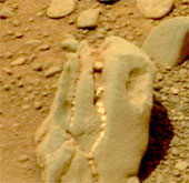 Dinosaur skull body on Mars