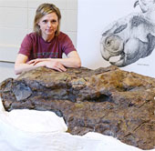 Dinosaur skull intact in Canada