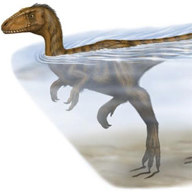Dinosaurs also know how to swim
