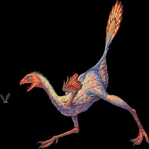 Dinosaurs also suffer from osteoarthritis