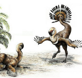 Dinosaurs also wagged their tails when flirting with their partners