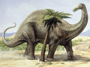 Dinosaurs are much lighter than previously assumed