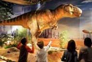 Dinosaurs chewed grass?