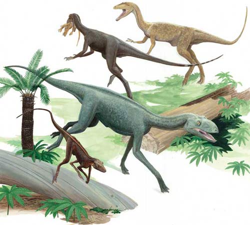 Dinosaurs dominate the earth slowly