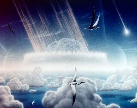 Dinosaurs extinction is caused by meteors?