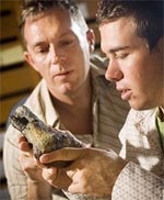 Dinosaurs fell toes in the Pacific Ocean