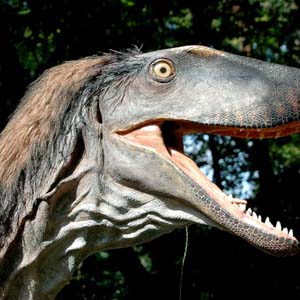 Dinosaurs grow feathers due to the harsh climate