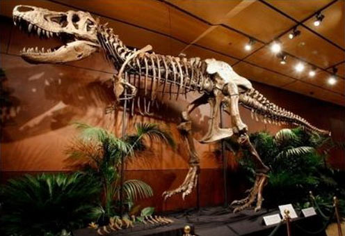 Dinosaurs' hard to chew because of the crisis