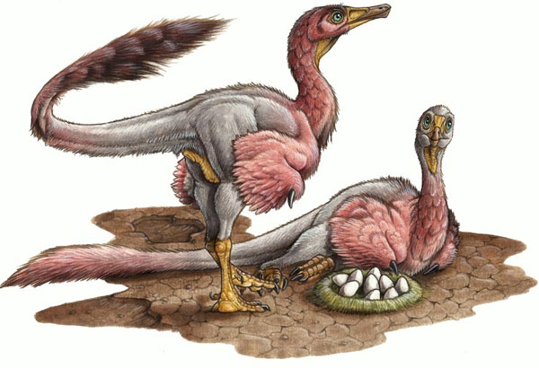 Dinosaurs have 'relatives' with modern birds