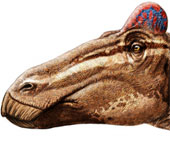 Dinosaurs have them with ... chickens?