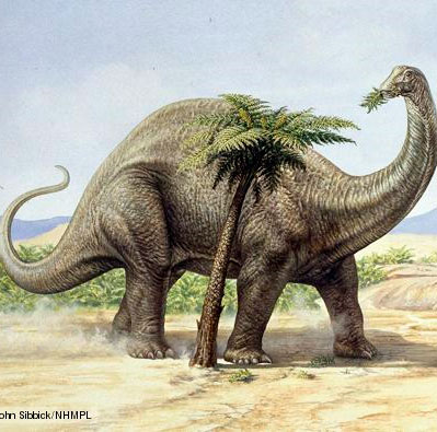 Dinosaurs heat the Earth?