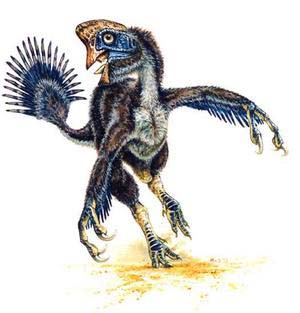 Dinosaurs look turkey