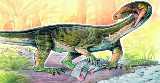 Dinosaurs share common ancestors with crocodiles