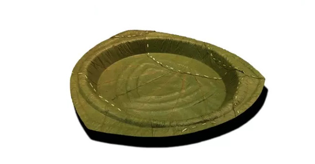 Disc made from tree leaves - The invention that the world needs