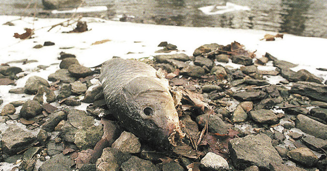 Discharge disasters cause water pollution in the world