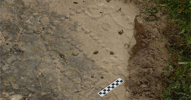 Discover 4,000-year-old boardgame of ancient people