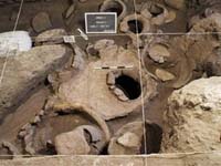 Discover 6,000 year old wine making equipment