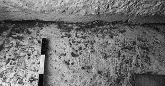 Discover a 2,000 year old paved road