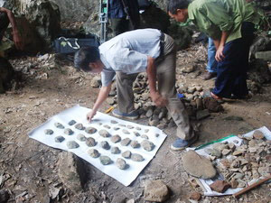Discover a cave of primitive inhabitants