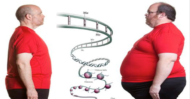 Discover a kind of gene that helps you to