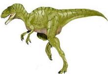 Discover a new dinosaur
