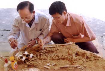 Discover a unique way of shroud in Tuyen Quang