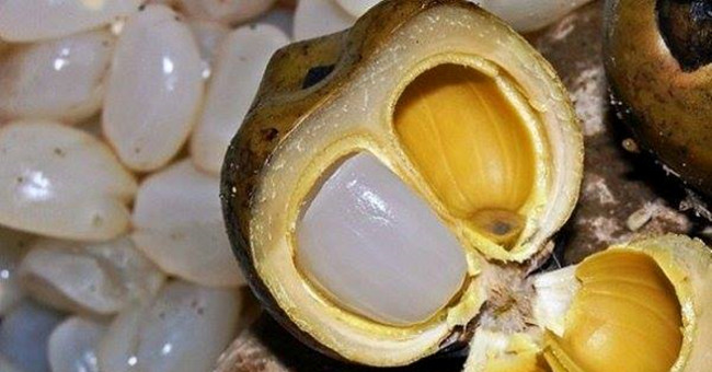 Discover amazing effects of nuts with health
