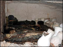Discover ancient garland in Egyptian grave