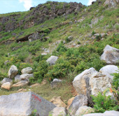 Discover ancient stone exploitation site to build Nha Ho citadel