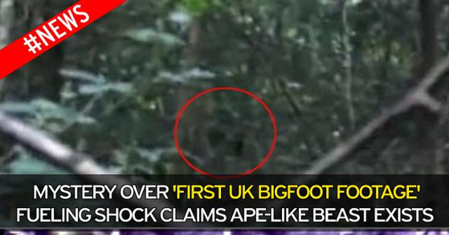 Discover big Bigfoot monsters in shocking forests?