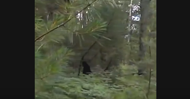 Discover Big Legs in the forest with 2 children?