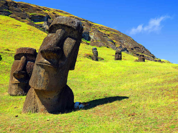 Discover concussion about the body under the statue of Easter Island