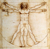 Discover Da Vinci's 'Vitruvius' is perfect