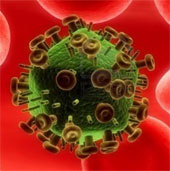Discover evidence related to the ability of HIV virus to regenerate