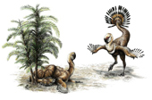 Discover fossil dinosaur couple