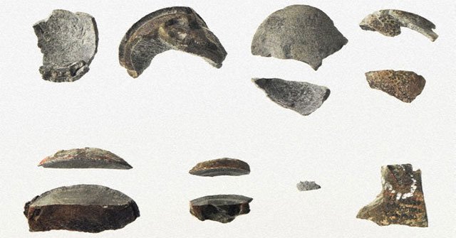 Discover fossil eggs of the mysterious dinosaur