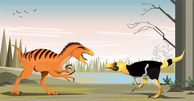 Discover fossils 2 new hunting dinosaurs
