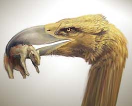 Discover fossils of a giant raptors
