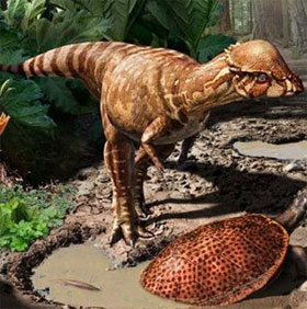 Discover fossils of small dinosaurs like dogs