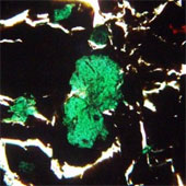 Discover gems similar to diamonds and emeralds