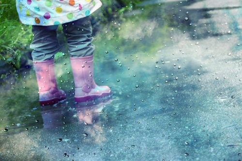 Discover interesting things about rain