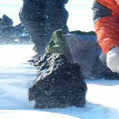 Discover large meteorite in Antarctica