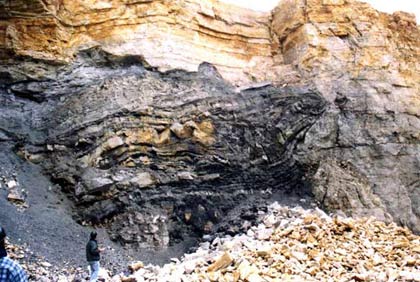 Discover many rare plants in ancient caves in America