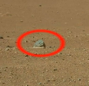 Discover many unusual things on Mars