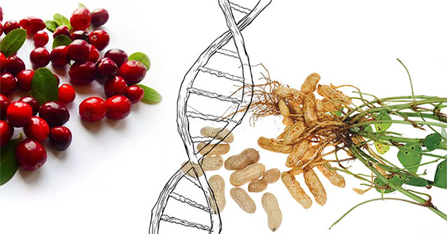Discover more naturally modified plants