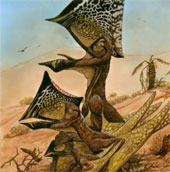 Discover more new flying lizards