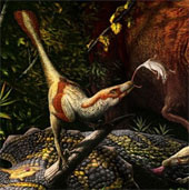 Discover new carnivorous dinosaur fossils in Canada